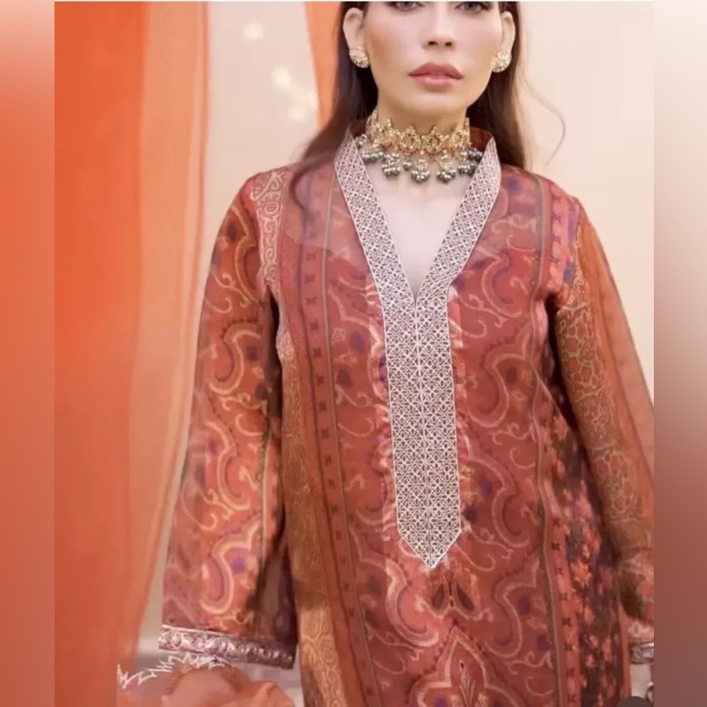 Pakistani Indian Designer Shalwar Kameez - 2 Piec… - image 2